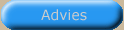 blue--Advies